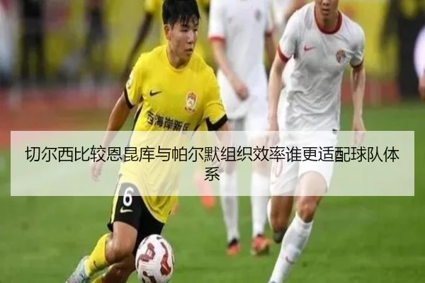 切尔西比较恩昆库与帕尔默组织效率谁更适配球队体系